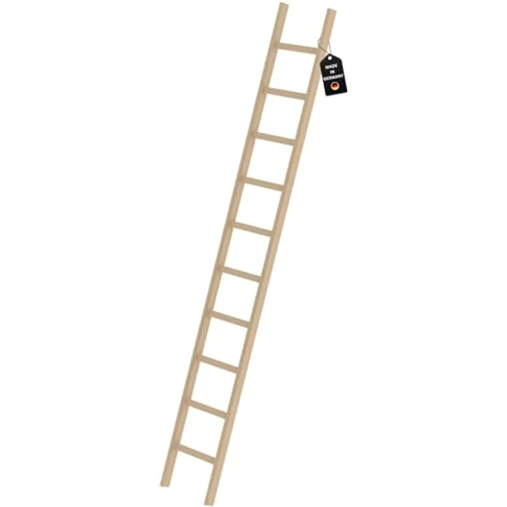 PROREGAL Sprossen-Anlegeleiter Holz ohne Traverse | 10 Sprossen | Leiter, Teleskopleiter, Trittleiter, Bockleiter, Sprossen-Doppelleiter – Bild 1