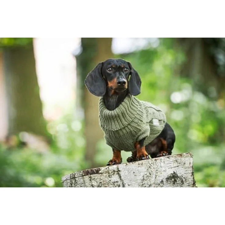 Wolters Hundepullover Zopf-Strickpullover, gemütlicher Strickpullover in verschiedenen Farben – Bild 4