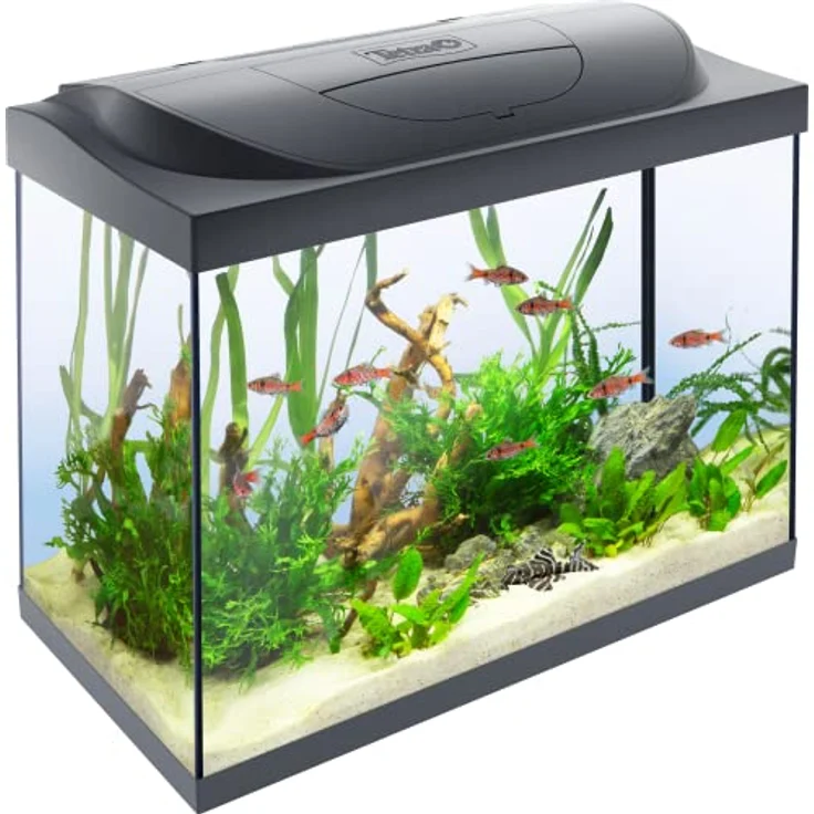 Tetra Starter Line 80 L Aquarium Komplett-Set - inkl. Tag- & Nachtlicht LED-Beleuchtung, Innenfilter, Heizer, Fischfutter und Wasseraufbereiter – Bild 1