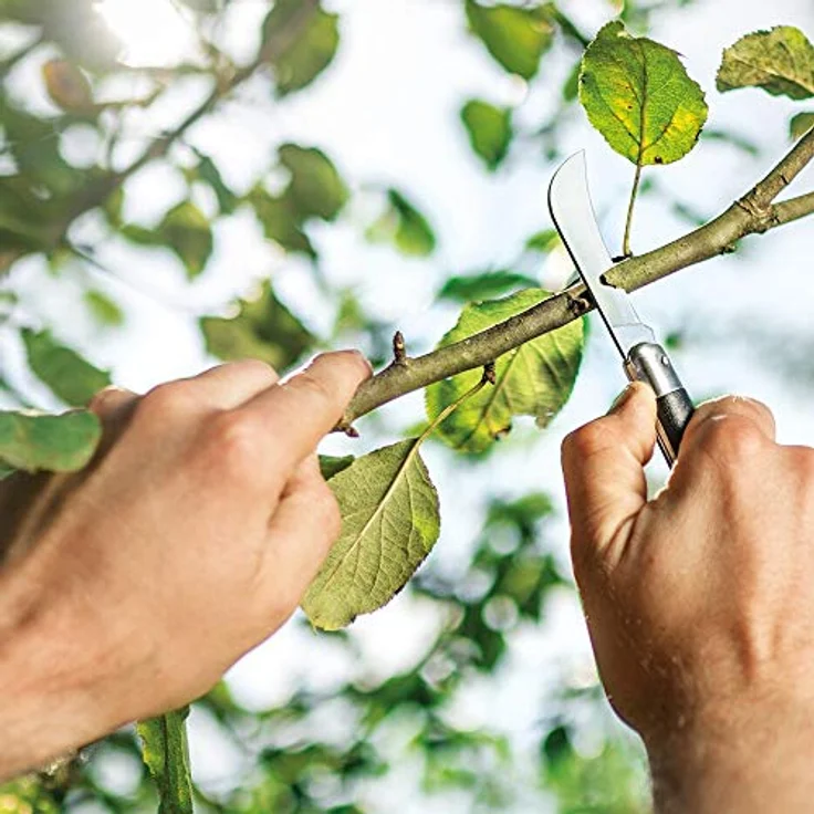 Cellfast Gartenhacke Gartenhippe, 3CR13 Edelstahl, Klappmesser mit ergonomischem Griff für präzise Schnitte – Bild 3