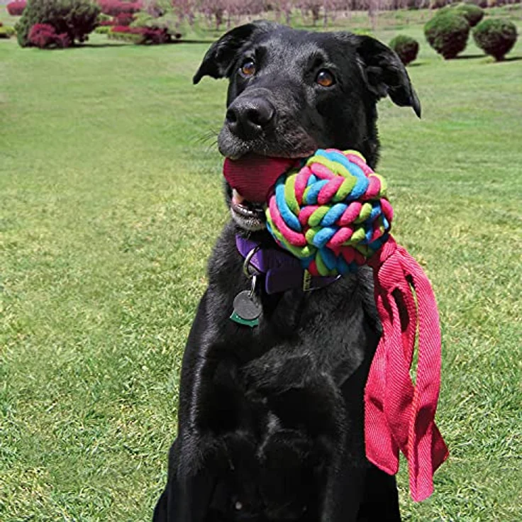 KONG – Wubba Weaves – Robustes Apportierspielzeug zum Kauen und zur Zahnreinigung (Farbvar.) – Für Große Hunde – Bild 2