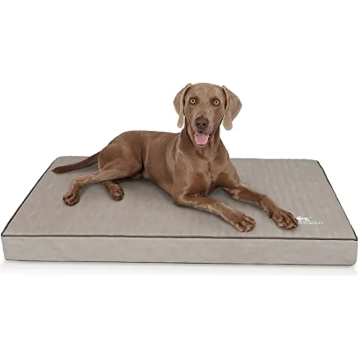 Knuffelwuff Hundematte Palomino, Orthopädisch mit 10 cm hohem Kern, robustem Kunstleder, abnehmbaren Bezügen, verschiedene Größen verfügbar – Bild 1