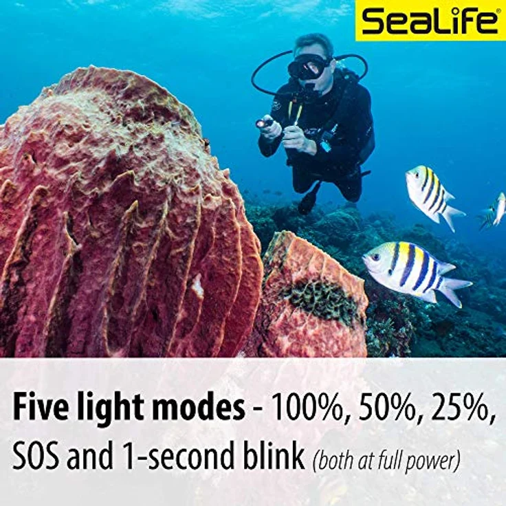Sealife Sea Dragon Mini 900S, Tauchlampe mit 900 Lumen, 5 Lichtmodi, bis 100m tauchbar, 14 cm, wiederaufladbar – Bild 6