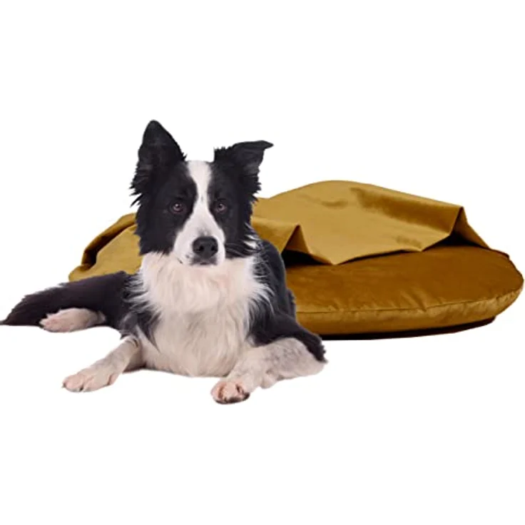 Rohrschneider Kuschelinsel Samt Valley mit Hundekotbeutel (L, senf) - Gemütliches Hundebett mit Rückzugsmöglichkeit und pflegeleichtem Samtstoff – Bild 2