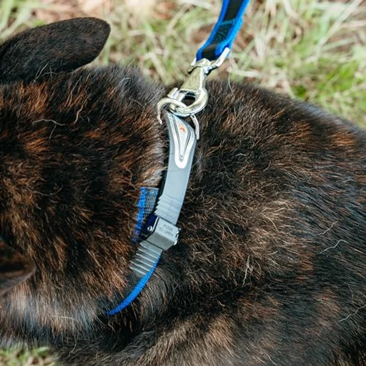 Ferplast Ergocomfort C25/55, Hundehalsband mit Polsterung und Sicherheitsschließsystem, rot – Bild 2