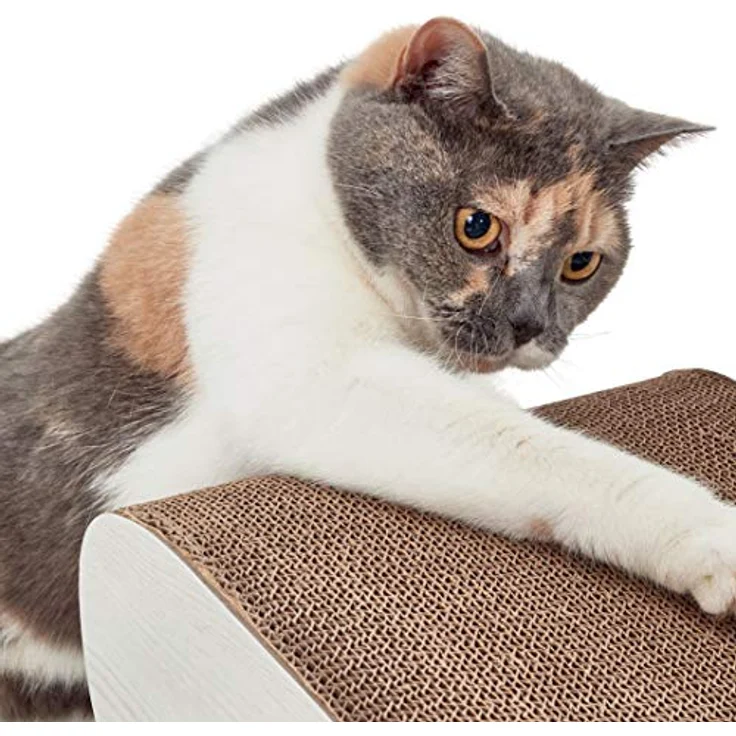 Canadian Cat Company Kratzpappe Satellite 2.0 - hellgrau, XL Kratzmöbel mit Katzenminze, ergonomische Form – Bild 3