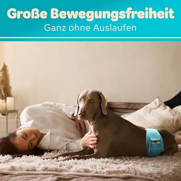 HUND IST KÖNIG® Hundewindeln für Rüden [3 STK] Saugstarke Hundewindeln Rüde | Bequeme Hunde Windeln bei Inkontinenz Hund - Rüdenwindel waschbar | Hundewindel leicht zu reinigen – Bild 2