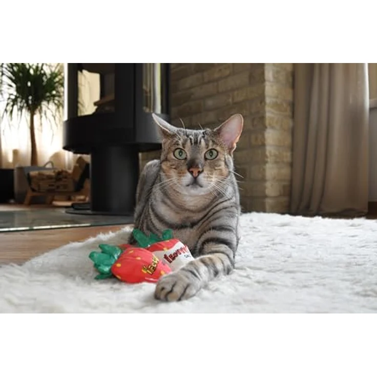 Yeowww! Katzenminze Spielzeug - Bio Crinkle Spielzeug in Erdbeerform (Schokoladen-Erdbeere), langlebig und sicher für Innen- und Außenkatzen, H 10 cm – Bild 4