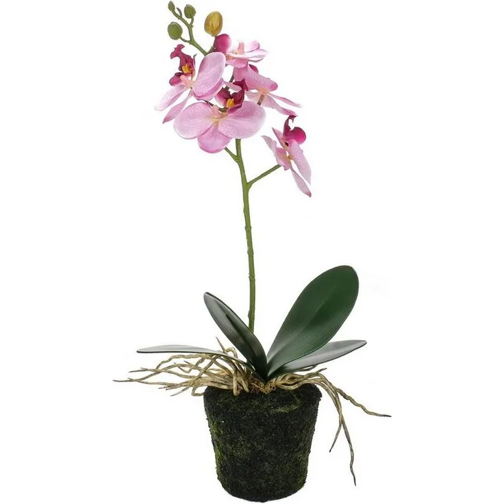 Bubble-Store Kunstpflanze Phalaenopsis Orchidee, naturgetreue Dekoration ohne aufwendige Pflege, rosa