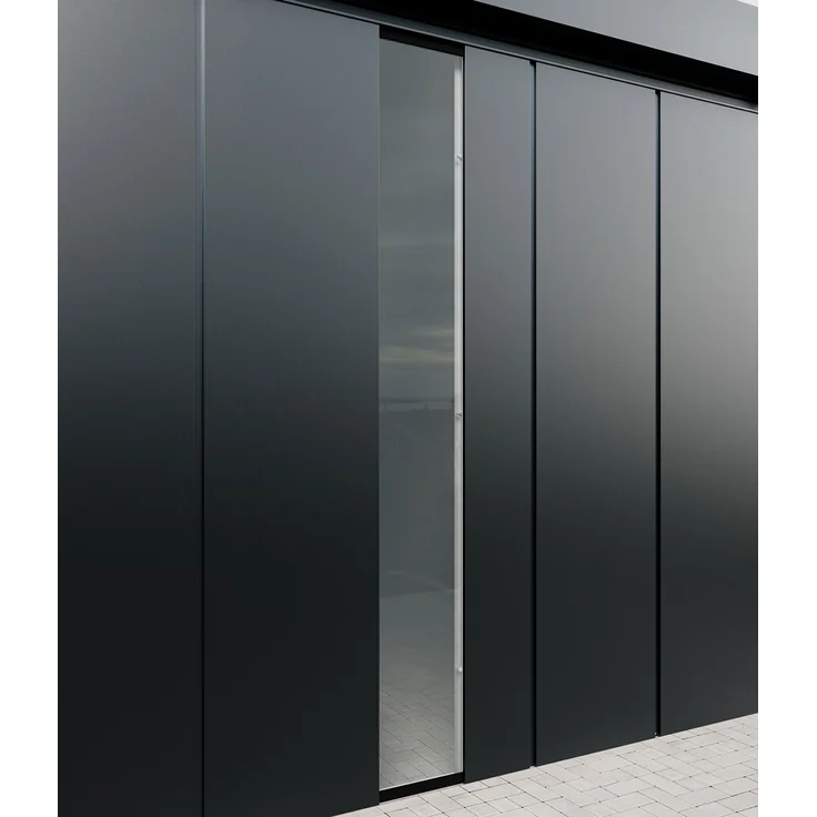 Hörmann Wandelement "Juno" Modern mit bodentiefer Verglasung, anthrazit, 48 x 200 cm, aus 4 mm Verbundsicherheitsglas