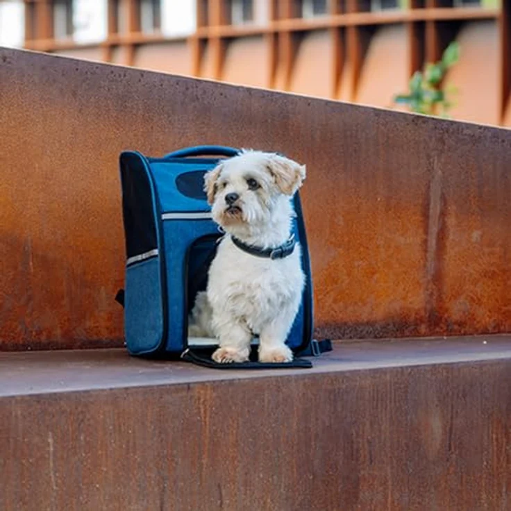 Nobby Tiertransporttasche Rucksack "RANA" bis 6,00 kg, strapazierfähig, Mikrofaser, grau – Bild 2
