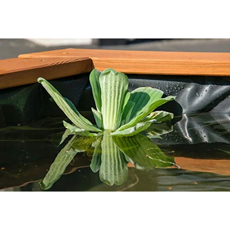 dobar Hochteich "Hexagon", Hochteich aus Kiefernholz inkl. Teichfolie, 330l Volumen, FSC-zertifiziert – Bild 9
