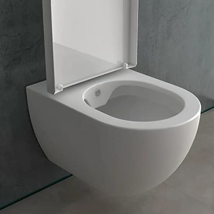 Alpenberger Spülrandloses Hänge WC mit Bidet Funktion | Taharet WC mit Nano Beschichtung & Toilettendeckel mit Absenkautomatik | Keramik Toilette Kloschüssel Passend zu Geberit (Cera 6201 U) – Bild 2