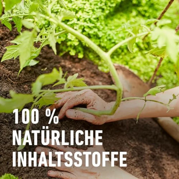 COMPO® BIO Tomaten- und Gemüseerde torffrei, 40 l – Bild 5
