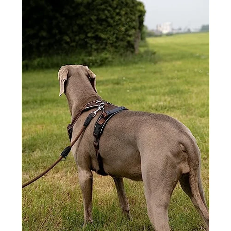 lionto Hundegeschirr gepolstert aus Nylon, Größe L, reflektierend, Anti Zug mit 2 Ringen & 4 Einstellgurten, braun – Bild 3