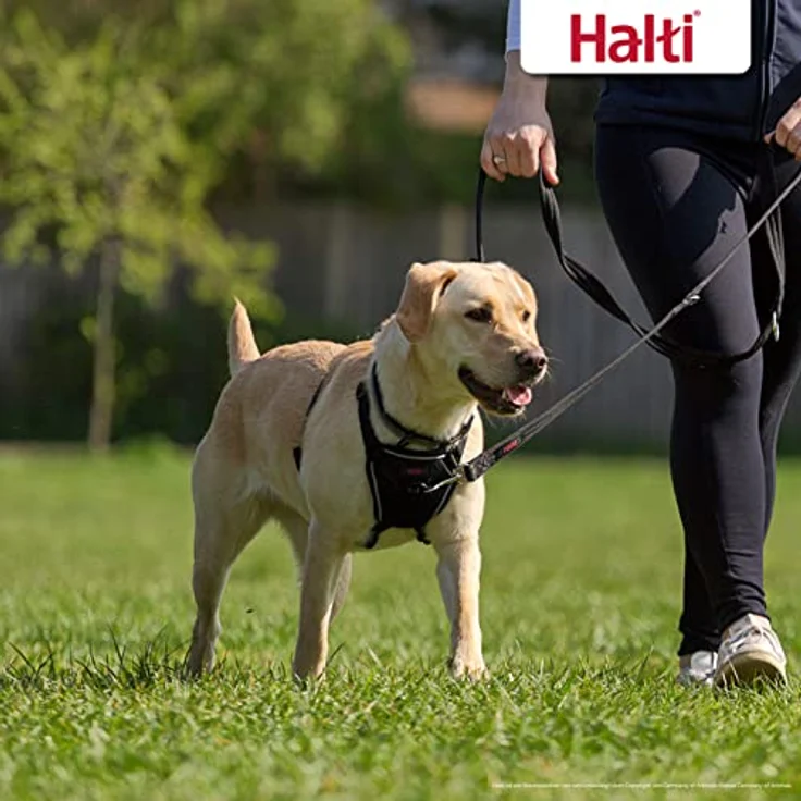 HALTI No Pull Anti-Zug Geschirr, Größe Mittel - Verhindert, dass Ihr Hund an der Leine zieht, Gepolsterter Brust- und Beingurt, Reflektierendes Gurtmaterial, Einfache Anpassung und Benutzung – Bild 4