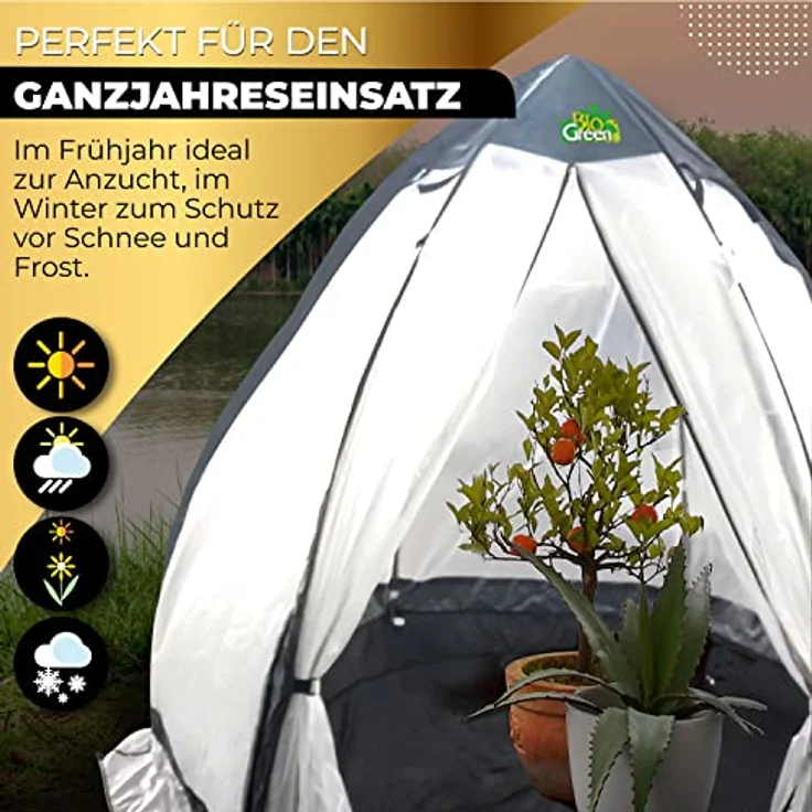 Bio Green Überwinterungszelt/Foliengewächshaus Tropical Island Breeze L | hochwertige RainExo-Folie | 2 große Belüftungsöffnungen | 200 x 240 cm, grün – Bild 2