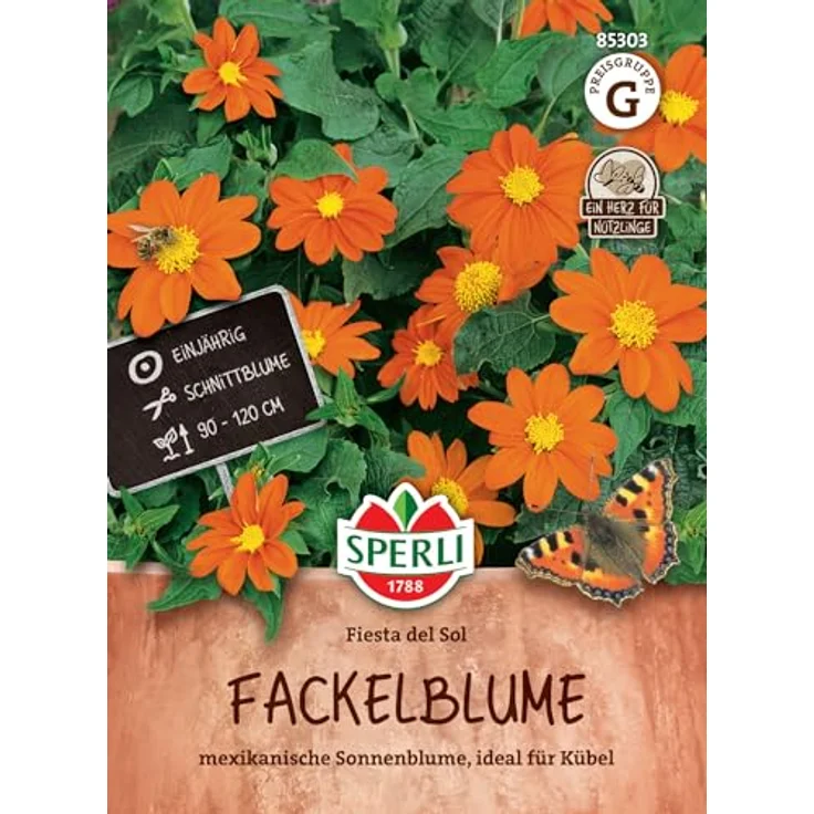 Sperli Fackelblume Tithonie Fiesta del Sol – Bild 2