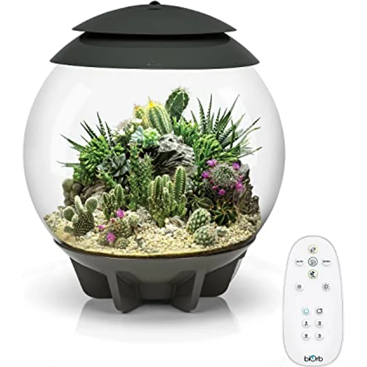 biOrb AIR 30, automatisches Terrarium in grau mit energieeffizienter LED-Beleuchtung und automatischer Pflege für exotische Pflanzen – Bild 1