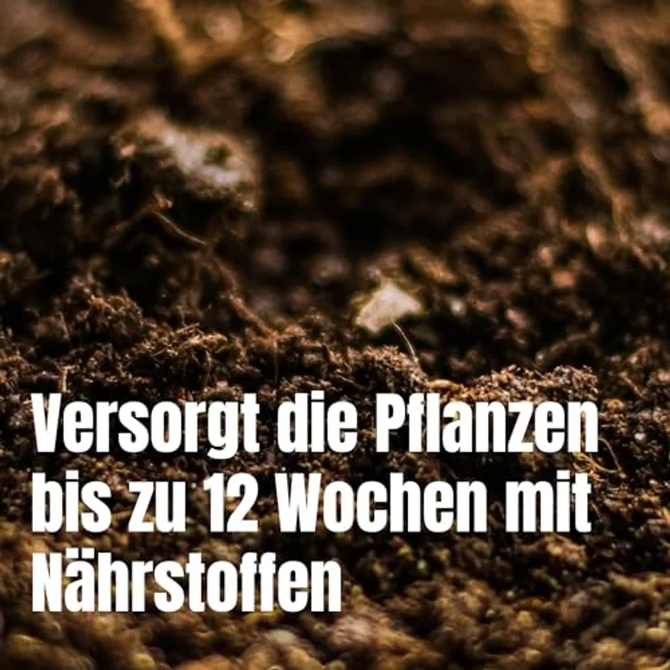 Samenshop24 3 Säcke a 20ltr Tomatenerde Gemüseerde in Gärtnerualität – Bild 5