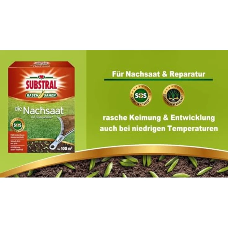 Substral Die Nachsaat Premium Rasensamen Nachsaatrasen 1kg – Bild 4