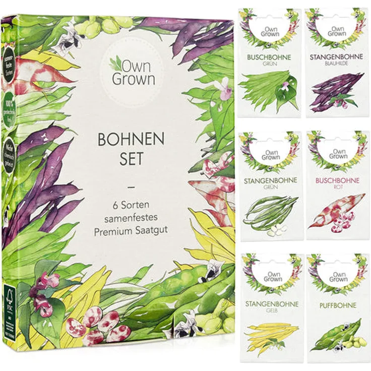 Bohnen Samen Set 6 Köstliche Bohnen Sorten Für Garten Und Balkon Puffbohnen