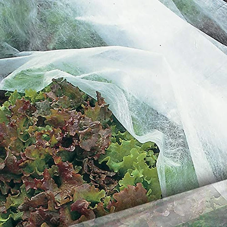 TENAX Ortoclima Wachstumsvlies 1,60x5 m Weiß, leichtes Frost- und Schutzvlies aus 100% Polypropylen, für Pflanzen- und Kulturschutz, atmungsaktiv, 17 g/m² – Bild 4