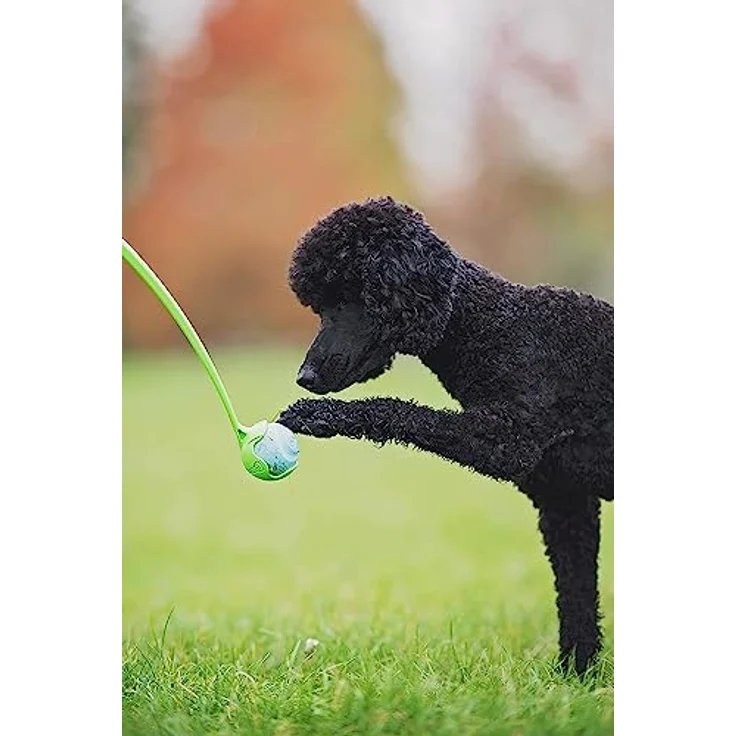 Chuckit, Jette! Fetch Dog Sports Ballwerfer, Hundespielzeug, mit kleinem Tennisball, klein, 36 cm – Bild 4