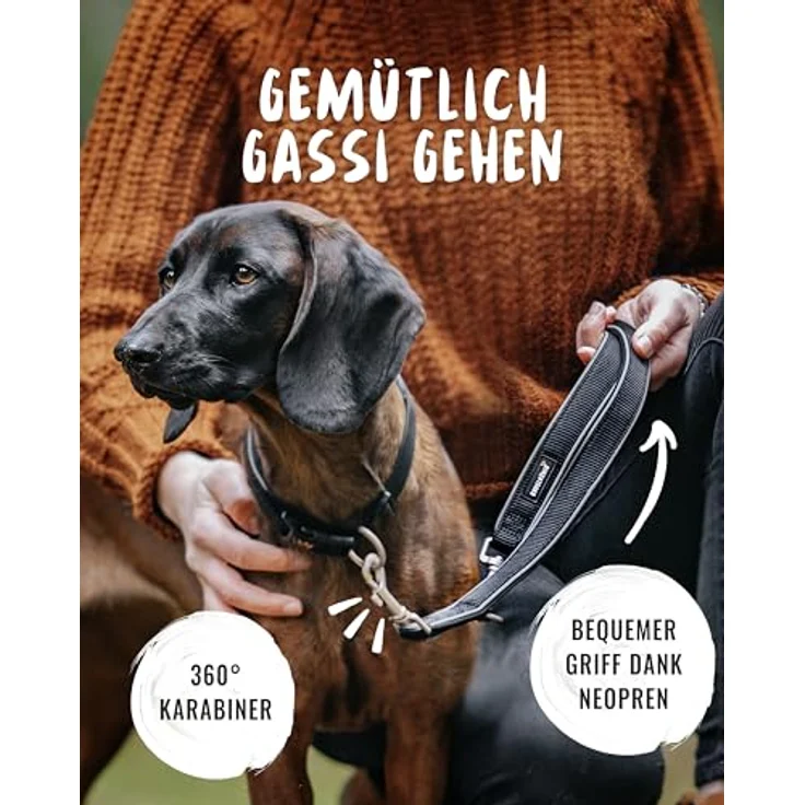 Rudelkönig Führleine Paola, 2,30m verstellbare Hundeleine für große & mittelgroße Hunde, reflektierend in schwarz, reißfest & wetterfest mit 360° Drehgelenk-Metallkarabiner – Bild 5