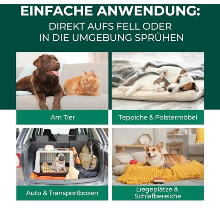 Silberkraft Grasmilben-Ex Spray für Hunde, 500 ml, effektive Linderung bei Juckreiz - gegen Milben, Parasiten, Ungeziefer – Bild 3