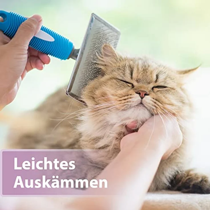 Felisept Fellpflege Spray für Katzen, 250ml - zur Entfilzung, milde Pflege für Langhaarkatzen und Senioren – Bild 3