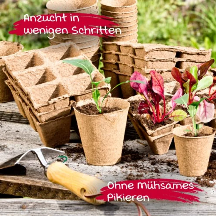 Windhager Anzucht-Töpfe, Pflanztöpfe, Saattopf, Aussaattöpfe, Ziehtöpfe, torffrei, 8 cm rund, 48 STK, 04343 – Bild 3