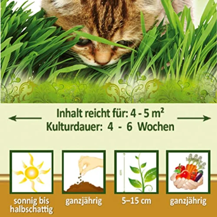N.L. Chrestensen Dose Katzengras für 4-5 m² – Bild 3