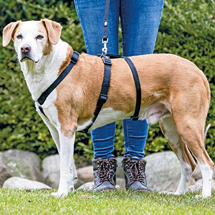 TRIXIE Stay Hundegeschirr - S/M – Bild 2