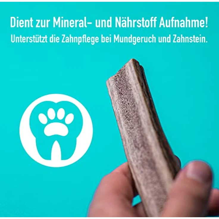 GreenHero Hirschgeweih Kausnack Größe L - 14 cm natürlicher und nachhaltiger Kauknochen aus Hirsch-Geweih für Hunde langlebig zur Unterstützung von Kiefer und Zähnen hypoallergener Hirsch Geweih – Bild 4