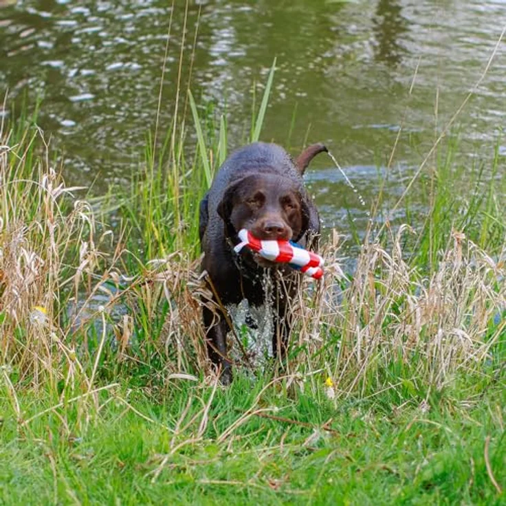 Nobby Floating Anker mit Seil, 24,5 cm für schwimmbegeisterte Hunde, blau – Bild 5