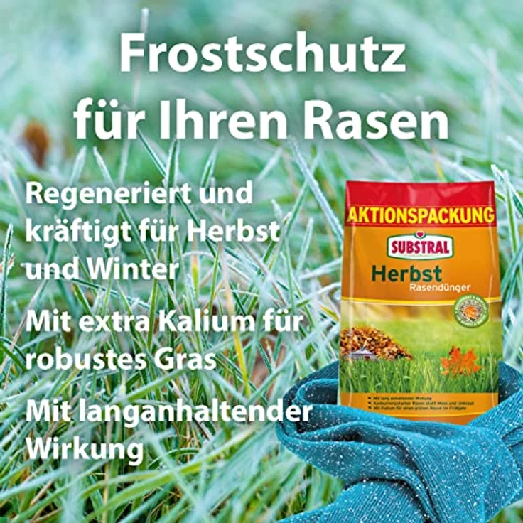 Substral Herbst Rasendünger 6,25 kg – Bild 5