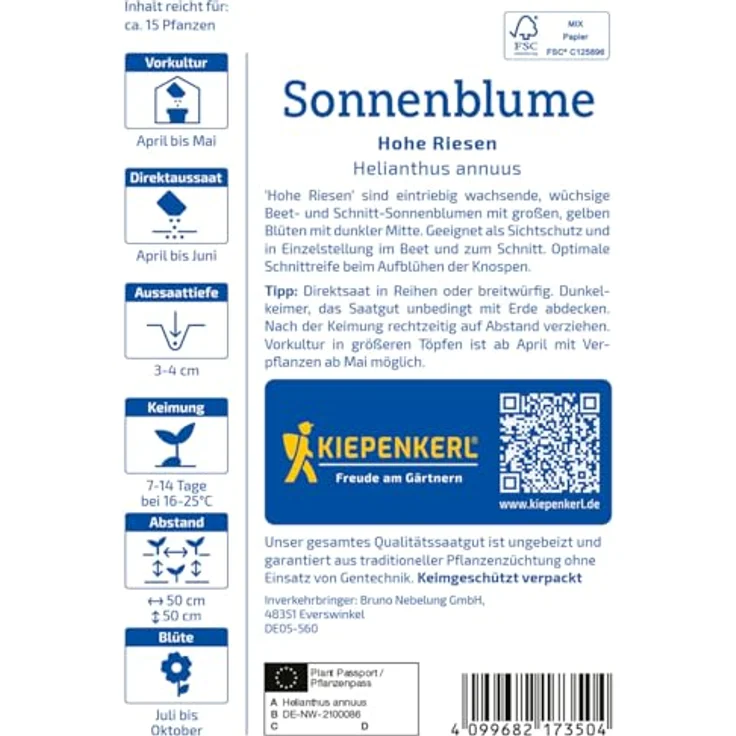 Kiepenkerl Blumensamen Sonnenblumen (Helianthus annuus), Gelb, 15 Pflanzen, einjährig – Bild 2