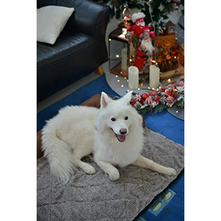 RAIKOU Hundebett Couch für Sofaschutz Hund und Kofferraumschutz, Antirutsch Beschichtung Hundedecke, Waschbares Sessels mit Reißverschluss, Hundematte für Grosse kleine Hunde – Bild 3