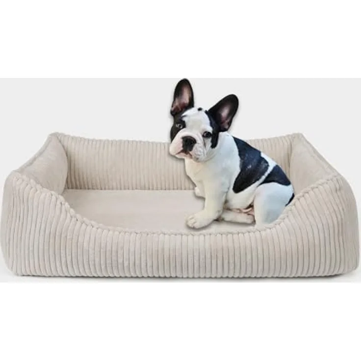 PAW WOW Anton Hundebett | Orthopädisches Hundebett mit Memory Foam | Beige, 80x60cm