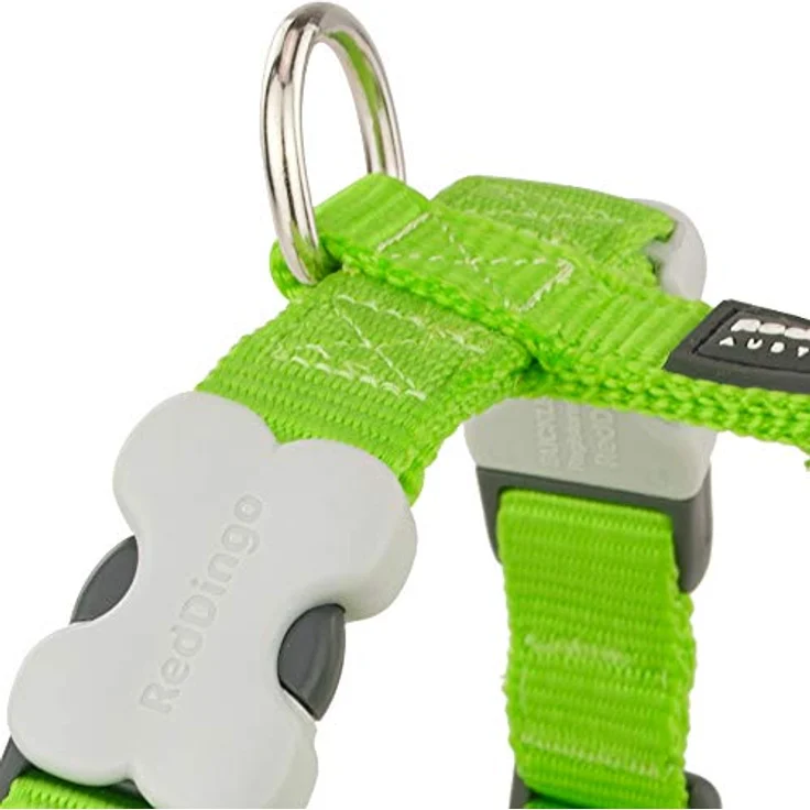 Red Dingo Nylon Hundegeschirr, hellgrün, XS, mit rostfreien D-Ringen und verstellbarem Bauchgurt – Bild 2