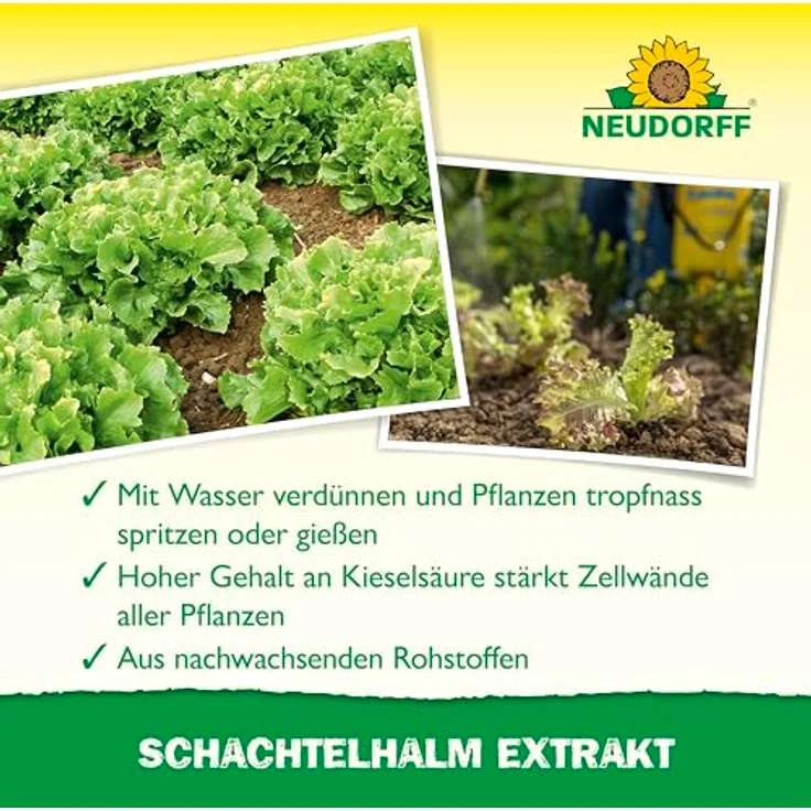 Neudorff Pflanzenstärkungsmittel Schachtelhalm Extrakt 250 ml, natürlicher Kräuterextrakt mit hohem Kieselsäuregehalt für kräftiges Wachstum bei allen Pflanzenarten – Bild 4