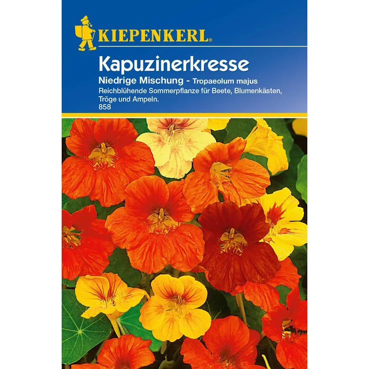 Kapuzinerkresse niedrige, Mischung – Bild 1