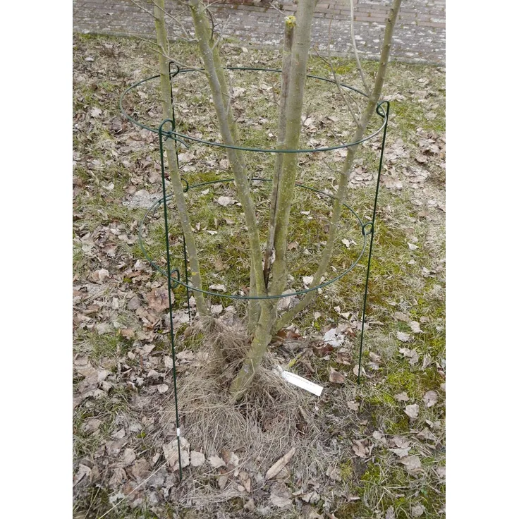 Grüner Jan Rosenstütze Metall 60x35 Blumenstütze Strauchstütze Pflanzenhalter Staudenhalter