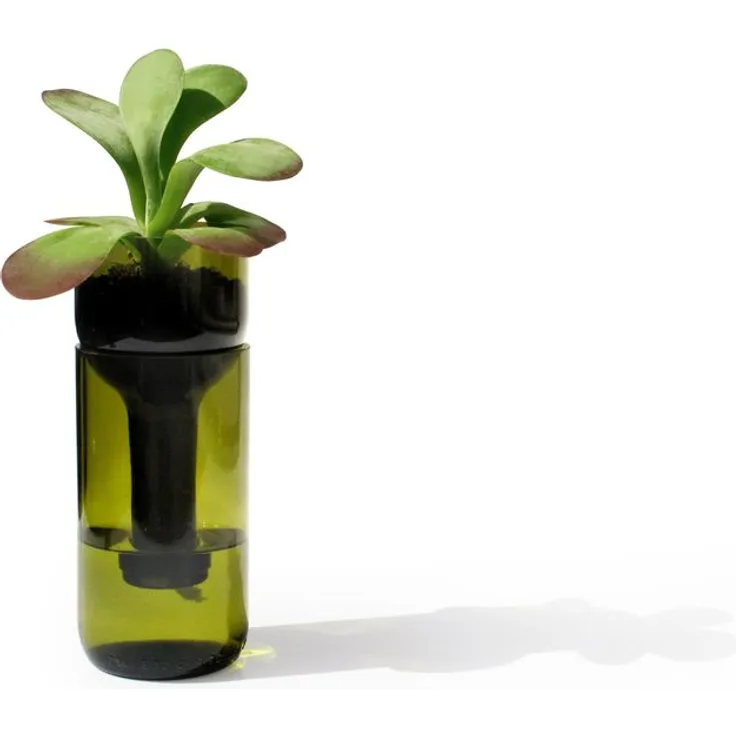 SIDE BY SIDE Self Watering Bottle grün