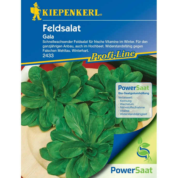 Kiepenkerl Feldsalat Gala PowerSaat