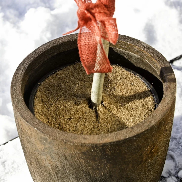 Windhager Mulchscheibe Cocodisc Ø 45 cm – Bild 2