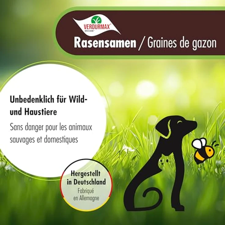 Höfer Chemie 1 kg Rasensamen, RSM-Premium-Mischung mit Lolium perenne PYRUS, BOKSER & ESQUIRE, trockenresistent & schnellkeimend – Bild 5