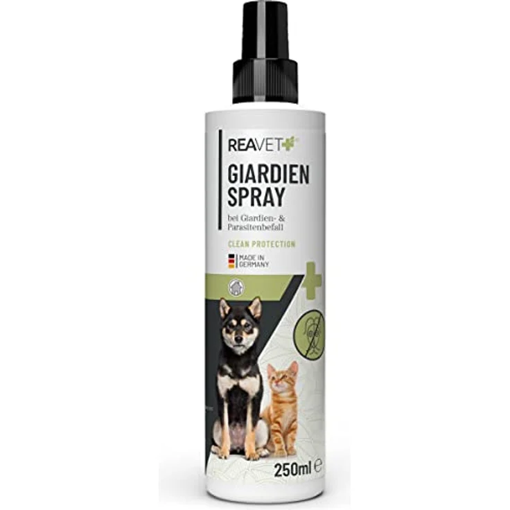 ReaVET Giardien Spray 250ml – Speziell für Hund & Katze, Konzentriertes Desinfektionsmittel Desinfektion Spray für Oberflächen und Umgebung bei gegen Giardien, Hygiene Spray – Bild 1