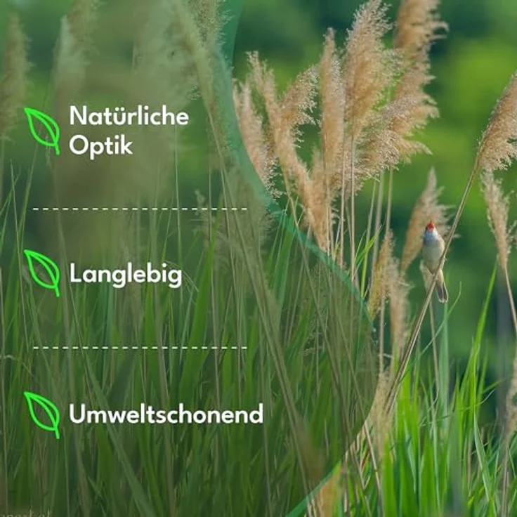 Intergo Schilfrohrmatte sichtschutz windschutz sichtschutzmatte schilfmatte 100x300cm – Bild 10